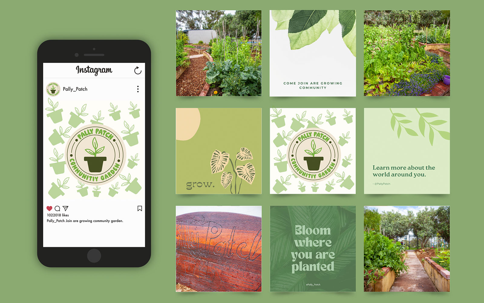 Pally patch Social Media